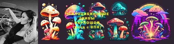 каннабис Арсеньев