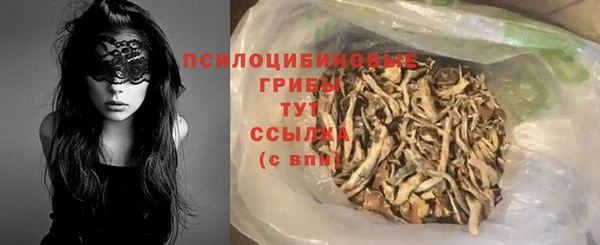 дживик Протвино